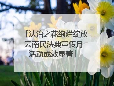 法治之花绚烂绽放 云南民法典宣传月活动成效显著