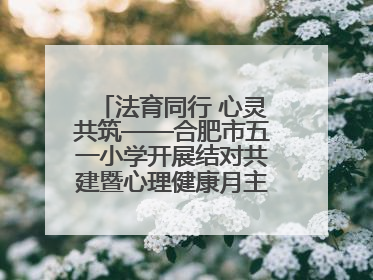 法育同行 心灵共筑——合肥市五一小学开展结对共建暨心理健康月主题活动
