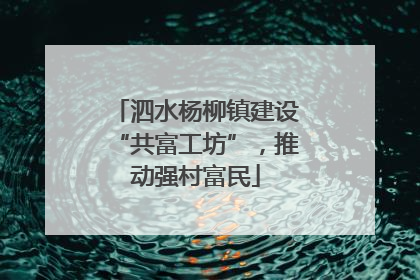 泗水杨柳镇建设“共富工坊”，推动强村富民