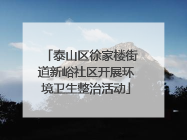 泰山区徐家楼街道新峪社区开展环境卫生整治活动