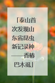 泰山首次发现山东省昆虫新记录种——香椿巴木虱