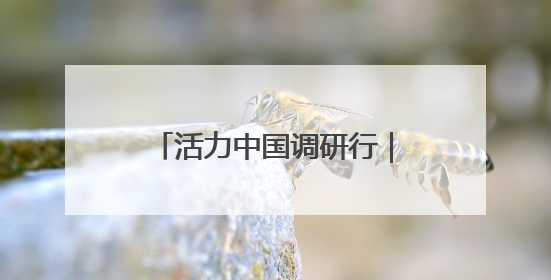 活力中国调研行｜向“智”！中国机器人“跑”起来