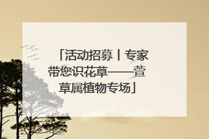 活动招募丨专家带您识花草——萱草属植物专场