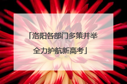 洛阳各部门多策并举 全力护航新高考