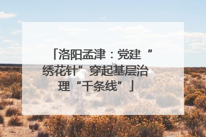 洛阳孟津：党建“绣花针”穿起基层治理“千条线”