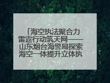 海空执法聚合力 雷霆行动筑天网——山东烟台海警局探索海空一体提升立体执法效能纪实