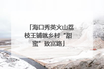海口秀英火山荔枝王铺就乡村“甜蜜”致富路