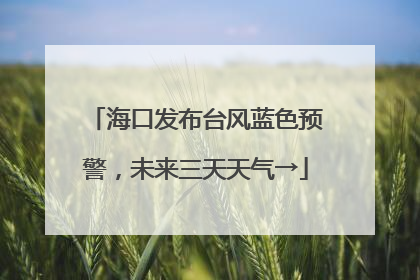 海口发布台风蓝色预警，未来三天天气→