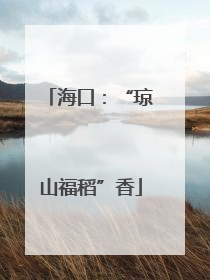 海口：“琼山福稻”香