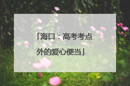 海口：高考考点外的爱心便当