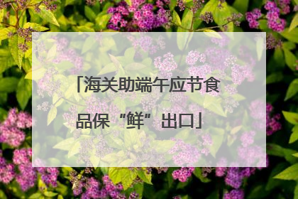 海关助端午应节食品保“鲜”出口