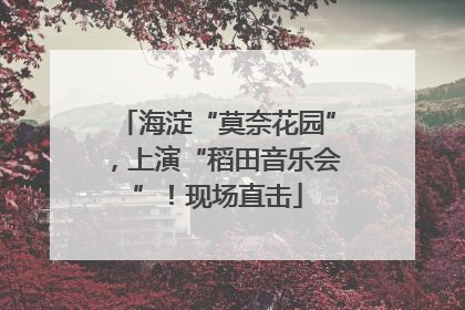 海淀“莫奈花园”，上演“稻田音乐会”！现场直击