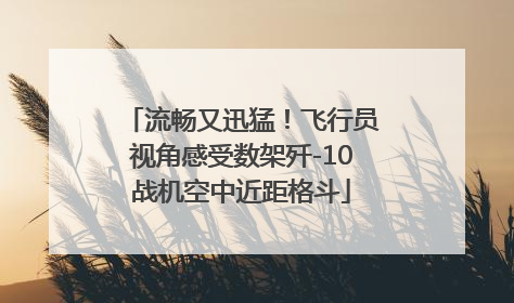 流畅又迅猛！飞行员视角感受数架歼-10战机空中近距格斗
