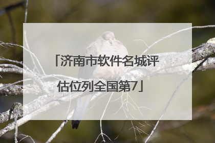 济南市软件名城评估位列全国第7