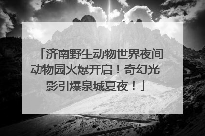 济南野生动物世界夜间动物园火爆开启！奇幻光影引爆泉城夏夜！