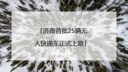 济南首批25辆无人快递车正式上路