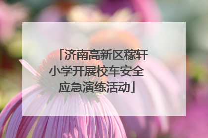 济南高新区稼轩小学开展校车安全应急演练活动