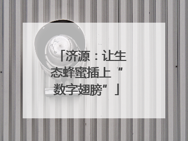 济源：让生态蜂蜜插上“数字翅膀”
