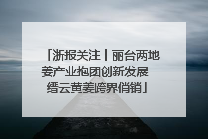 浙报关注丨丽台两地姜产业抱团创新发展 缙云黄姜跨界俏销