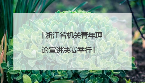 浙江省机关青年理论宣讲决赛举行