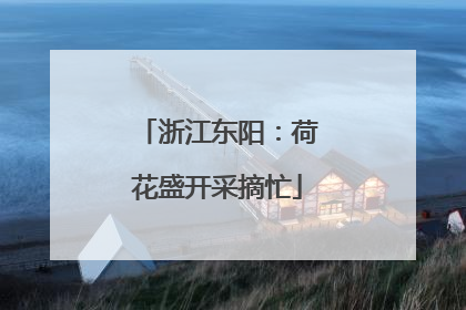 浙江东阳：荷花盛开采摘忙