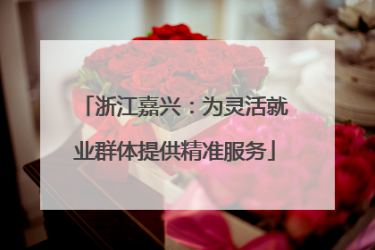 浙江嘉兴：为灵活就业群体提供精准服务
