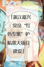 浙江嘉兴：党员“红色专班”护航重大项目建设