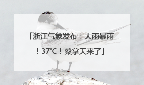 浙江气象发布：大雨暴雨！37℃！桑拿天来了