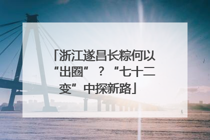 浙江遂昌长粽何以“出圈”？“七十二变”中探新路