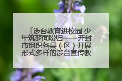 涉台教育进校园 少年筑梦同盼归——开封市组织各县（区）开展形式多样的涉台宣传教育进校园活动