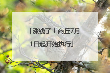 涨钱了！商丘7月1日起开始执行