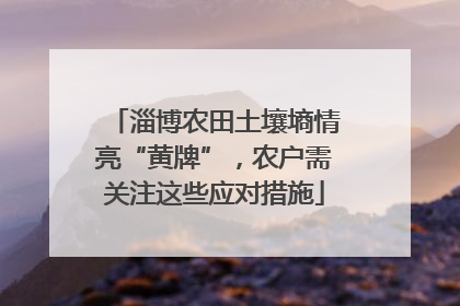 淄博农田土壤墒情亮“黄牌”，农户需关注这些应对措施