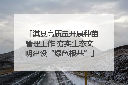 淇县高质量开展种苗管理工作 夯实生态文明建设“绿色根基”