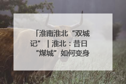 淮南淮北“双城记”｜淮北：昔日“煤城”如何变身文旅“美城”？