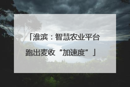 淮滨：智慧农业平台跑出麦收“加速度”