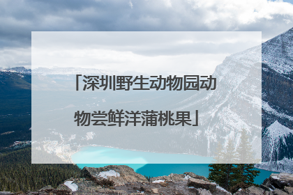 深圳野生动物园动物尝鲜洋蒲桃果