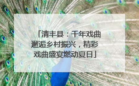 清丰县：千年戏曲邂逅乡村振兴，精彩戏曲盛宴燃动夏日
