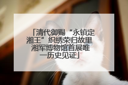 清代御赐“永镇定湘王”织绣荣归故里 湘军博物馆首展唯一历史见证