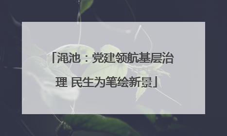 渑池：党建领航基层治理 民生为笔绘新景