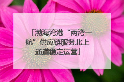 渤海湾港“两湾一航”供应链服务北上通道稳定运营