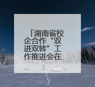 湖南省校企合作“双进双转”工作推进会在衡阳召开