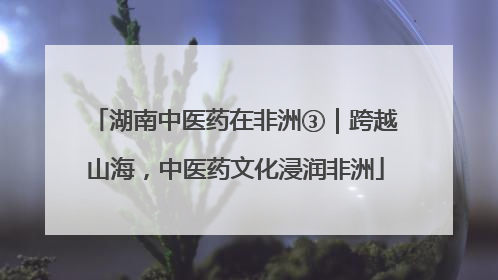 湖南中医药在非洲③｜跨越山海，中医药文化浸润非洲
