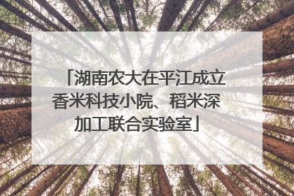 湖南农大在平江成立香米科技小院、稻米深加工联合实验室