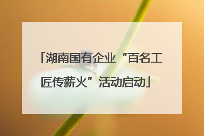 湖南国有企业“百名工匠传薪火”活动启动