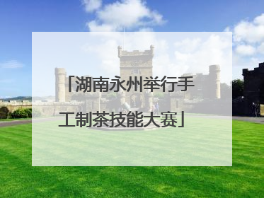 湖南永州举行手工制茶技能大赛