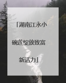 湖南江永小碗莲绽放致富新活力