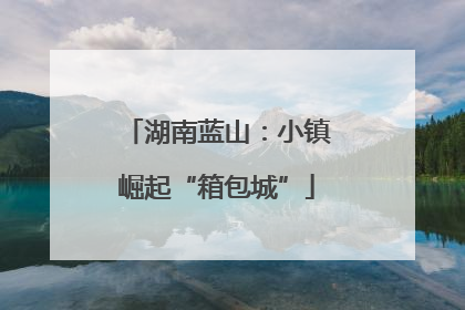 湖南蓝山：小镇崛起“箱包城”
