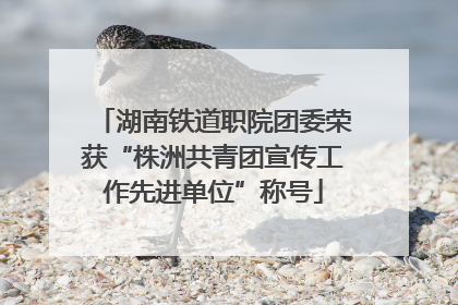 湖南铁道职院团委荣获“株洲共青团宣传工作先进单位”称号