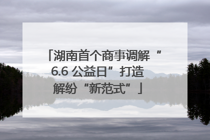 湖南首个商事调解“6.6 公益日”打造解纷“新范式”