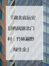 湖北省远安县鸣凤镇北门村：竹林遍野绿生金